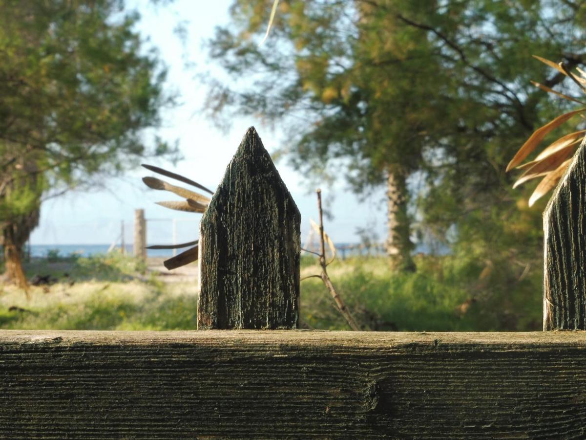 Palm Tree House By The Beach Skhoinos Luaran gambar